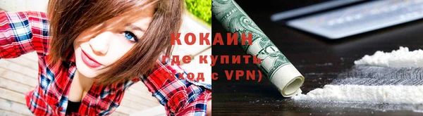 PSILOCYBIN Абаза